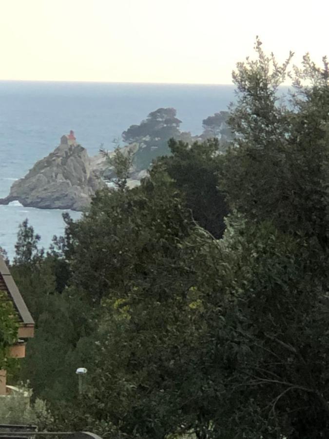 Apartmani Lime Petrovac Exteriér fotografie